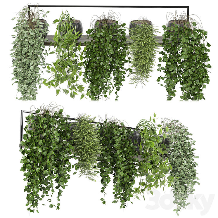 indoor plants in rusty concrete pot on metal shelf – Set 0088 3DS Max Model - thumbnail 1