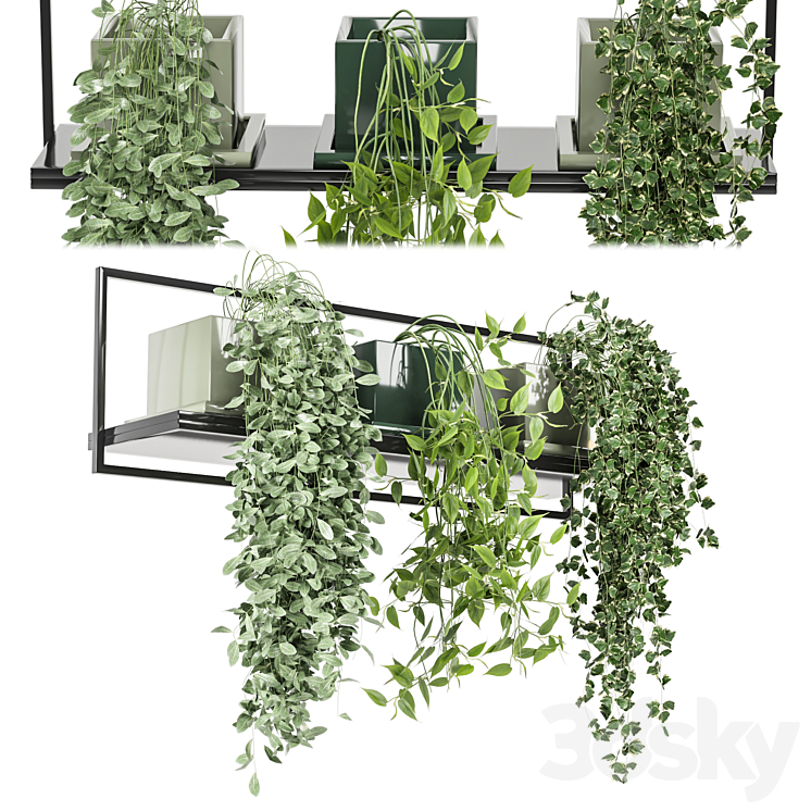 indoor plants in rusty concrete pot on metal shelf – Set 107 3DS Max - thumbnail 2