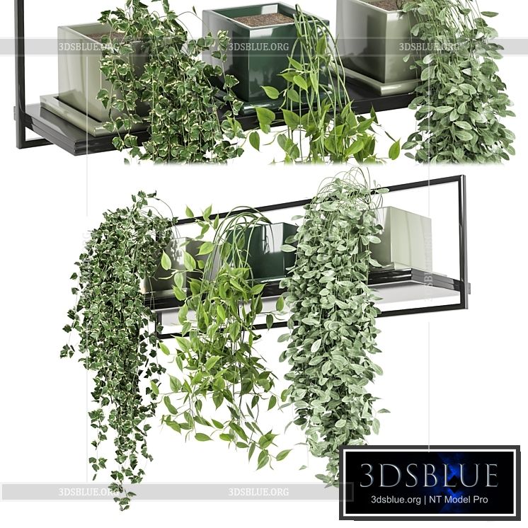 indoor plants in rusty concrete pot on metal shelf – Set 107 3DS Max - thumbnail 3