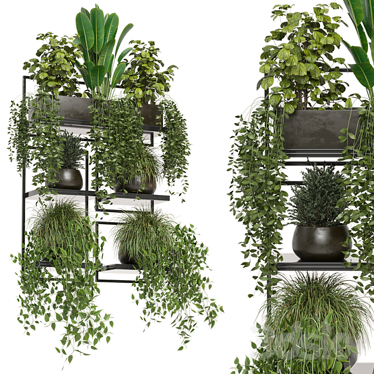 indoor plants in rusty concrete pot on metal shelf – Set 207 3DS Max Model - thumbnail 3