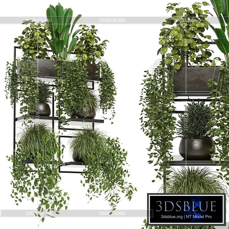 indoor plants in rusty concrete pot on metal shelf – Set 207 3DS Max - thumbnail 3