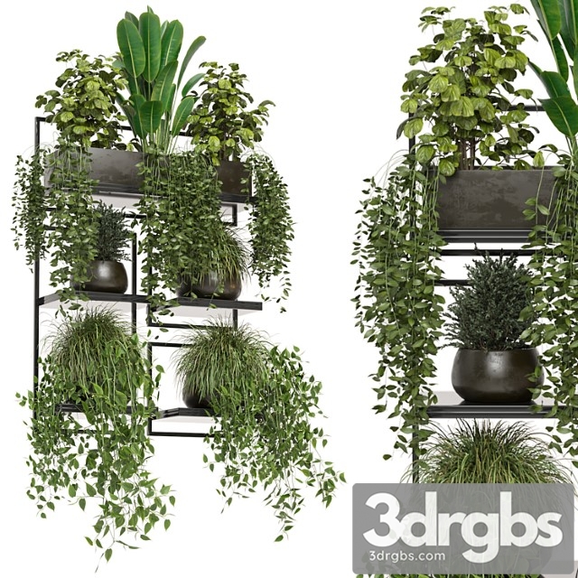 Indoor plants in rusty concrete pot on metal shelf – set 207 - thumbnail 1