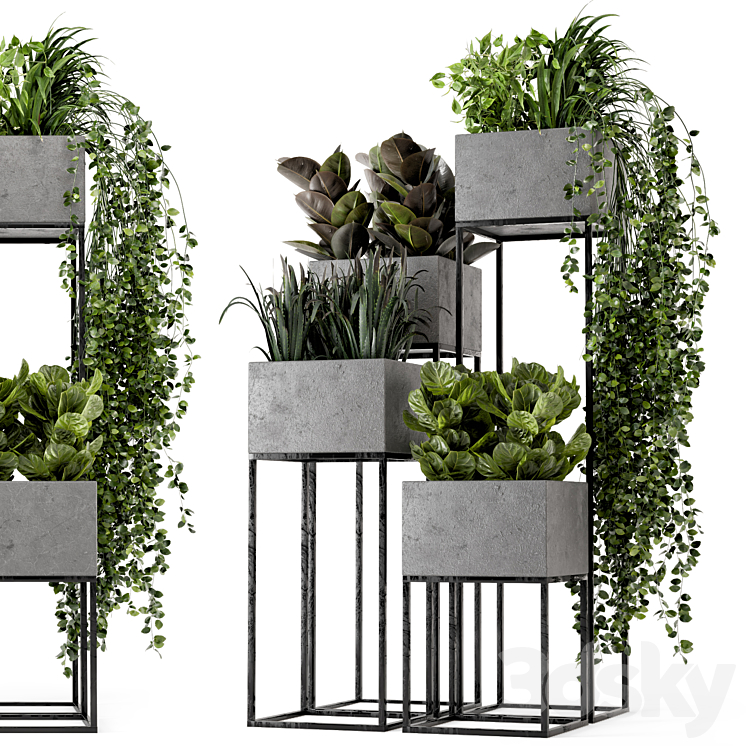 Indoor Plants in rusty Concrete Pot on Metal Shelf – Set 221 3DS Max - thumbnail 1