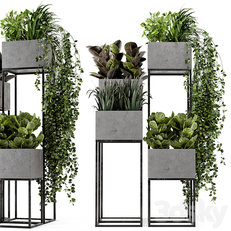 Indoor Plants in rusty Concrete Pot on Metal Shelf – Set 221 3DS Max - thumbnail 2