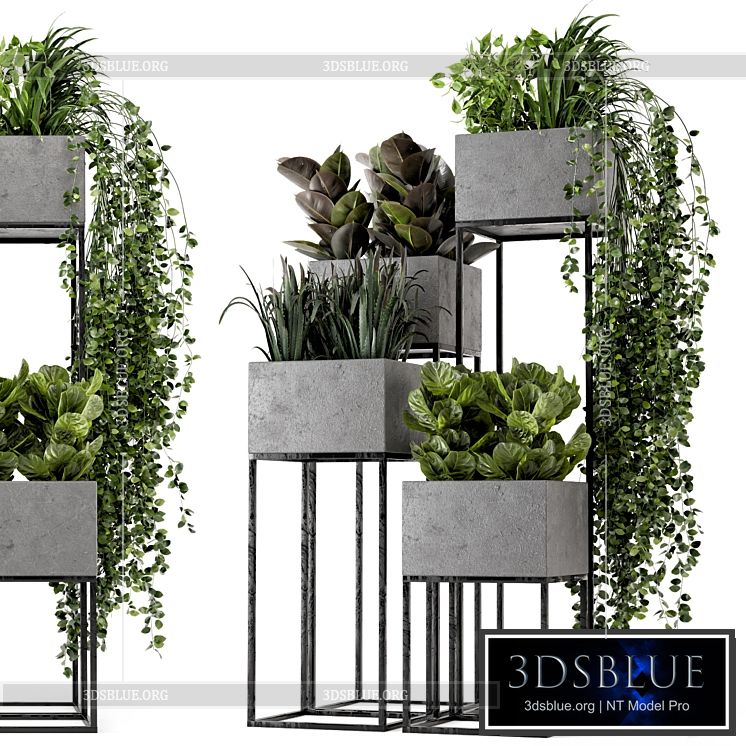 Indoor Plants in rusty Concrete Pot on Metal Shelf – Set 221 3DS Max - thumbnail 3