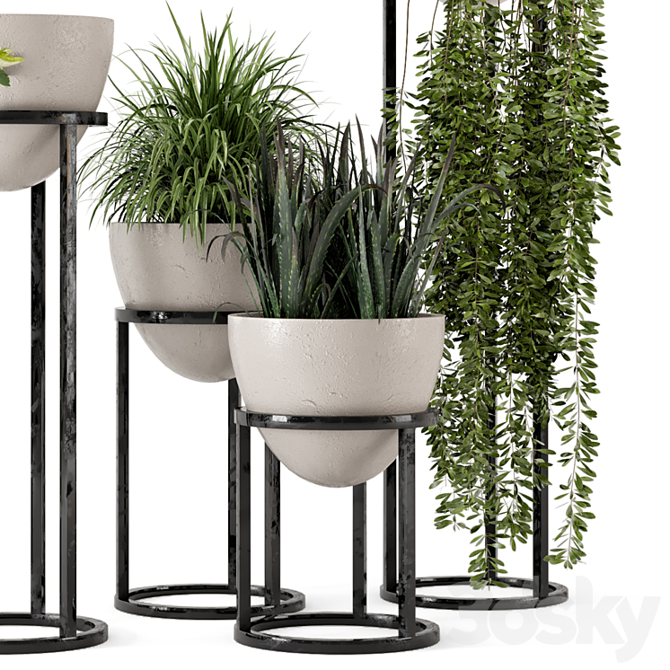 Indoor Plants in rusty Concrete Pot on Metal Shelf – Set 231 3DS Max - thumbnail 2