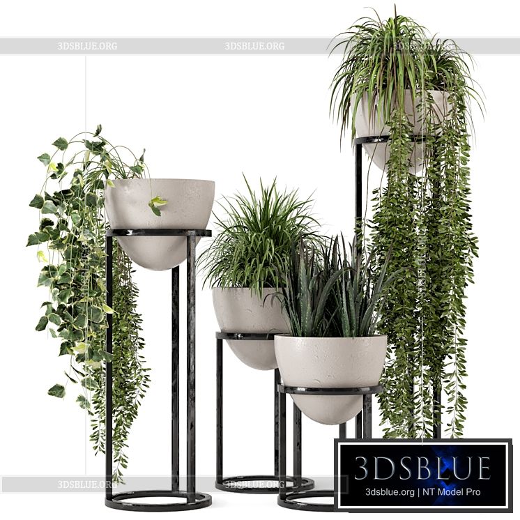 Indoor Plants in rusty Concrete Pot on Metal Shelf – Set 231 3DS Max - thumbnail 3