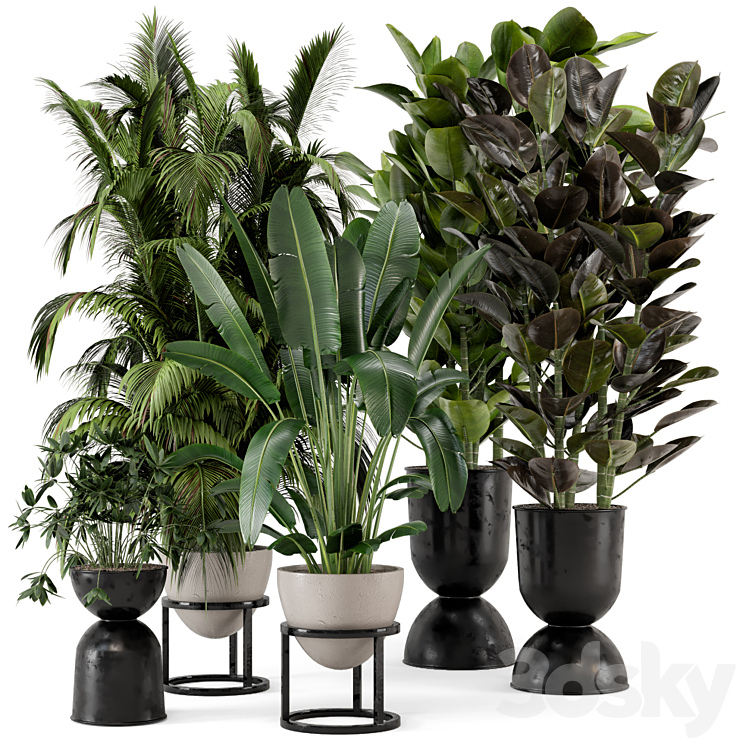 Indoor Plants in rusty Concrete Pot on Metal Shelf – Set 242 3DS Max - thumbnail 1