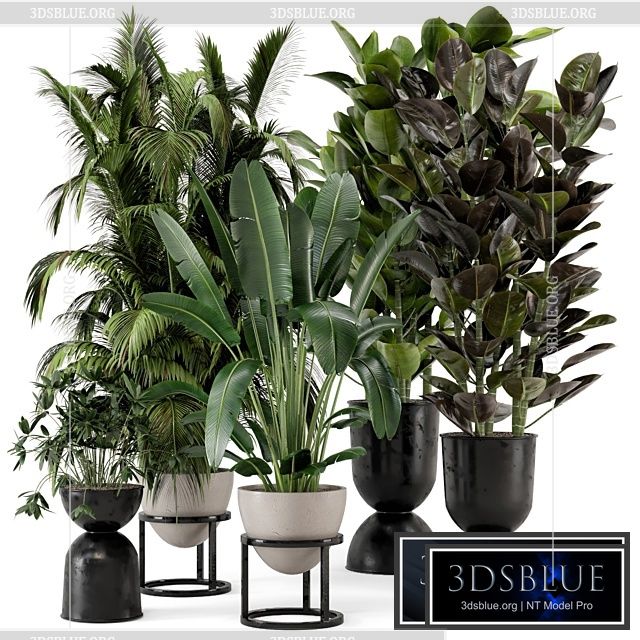 Indoor Plants in rusty Concrete Pot on Metal Shelf – Set 242 3DS Max - thumbnail 3