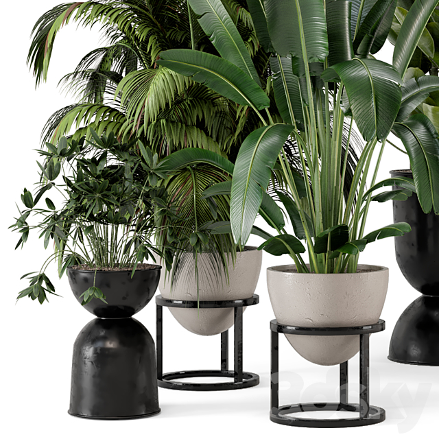 Indoor Plants in rusty Concrete Pot on Metal Shelf – Set 242 3DSMax File - thumbnail 5