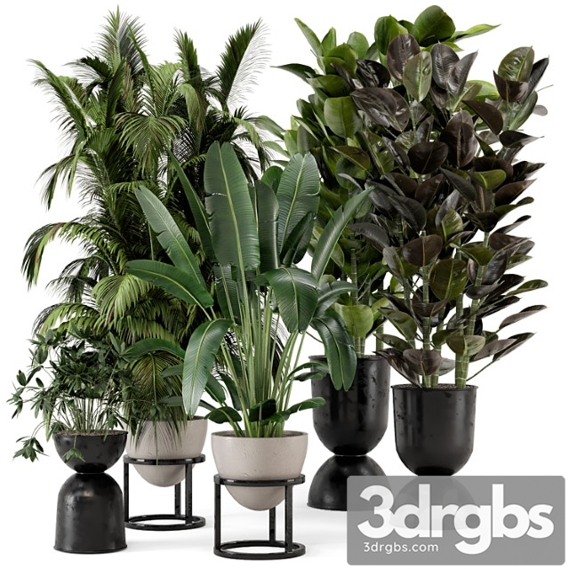 Indoor plants in rusty concrete pot on metal shelf – set 242 - thumbnail 1