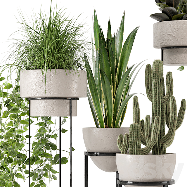 Indoor Plants in rusty Concrete Pot on Metal Shelf – Set 327 3DS Max Model - thumbnail 2