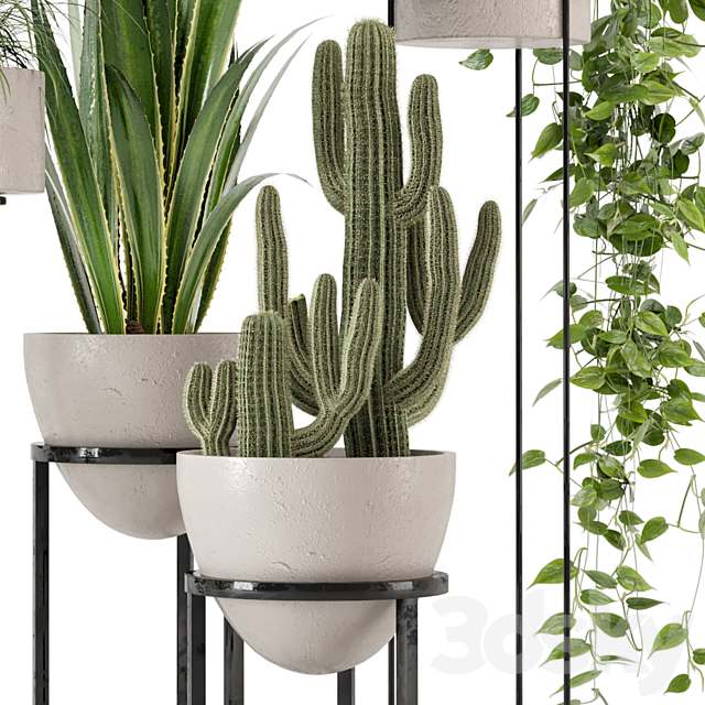 Indoor Plants in rusty Concrete Pot on Metal Shelf – Set 327 3DS Max Model - thumbnail 3