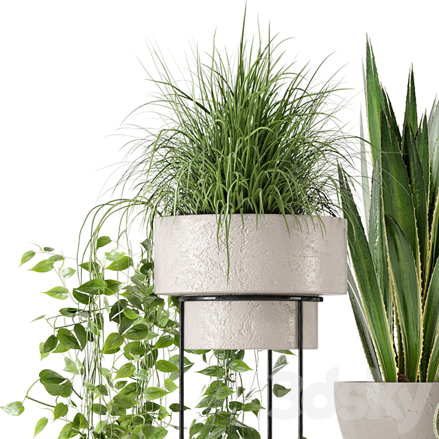 Indoor Plants in rusty Concrete Pot on Metal Shelf – Set 327 3DS Max Model - thumbnail 4