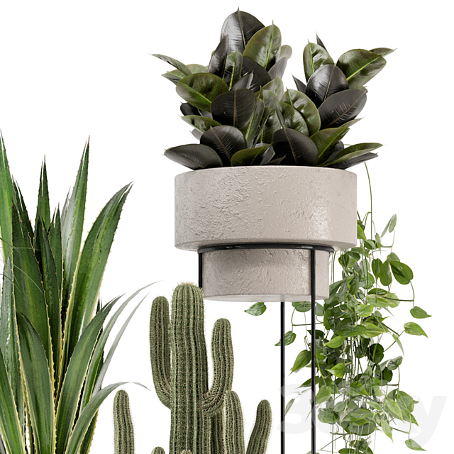 Indoor Plants in rusty Concrete Pot on Metal Shelf – Set 327 3DS Max Model - thumbnail 5