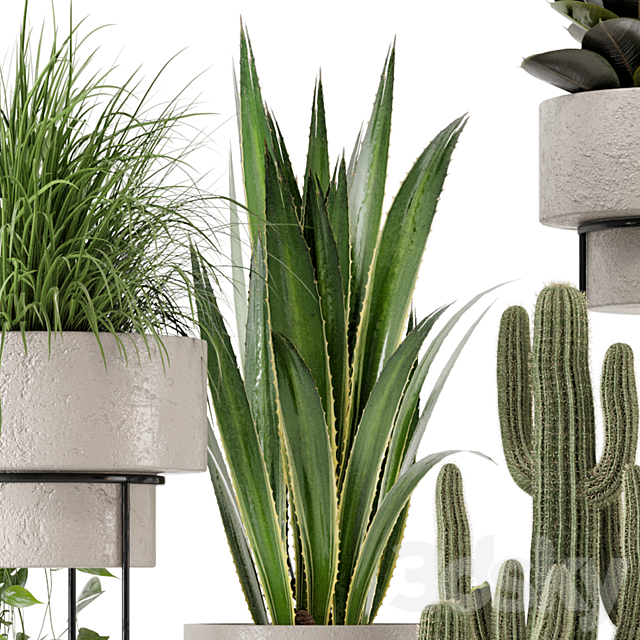 Indoor Plants in rusty Concrete Pot on Metal Shelf – Set 327 3DS Max Model - thumbnail 6