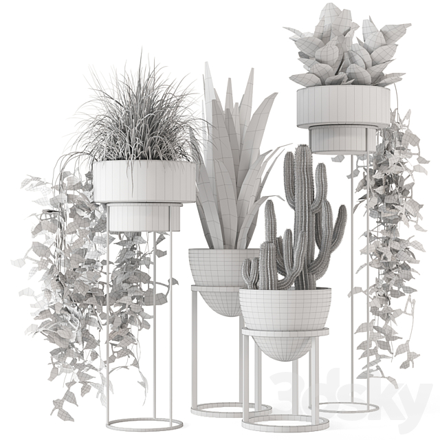 Indoor Plants in rusty Concrete Pot on Metal Shelf – Set 327 3DS Max Model - thumbnail 7