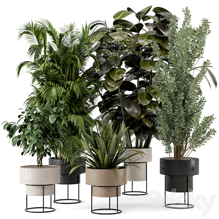 Indoor Plants in rusty Concrete Pot on Metal Shelf – Set 328 3DS Max - thumbnail 1