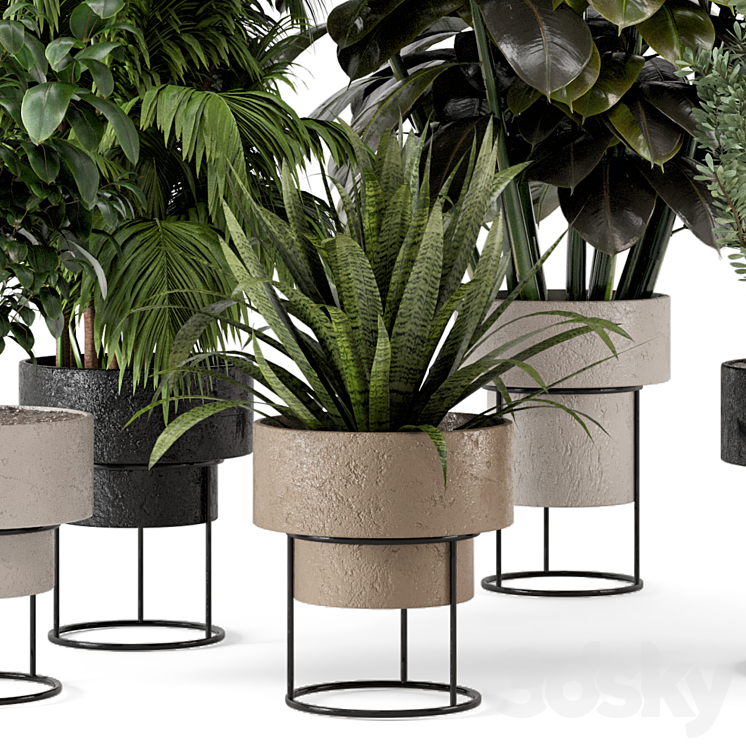 Indoor Plants in rusty Concrete Pot on Metal Shelf – Set 328 3DS Max - thumbnail 2