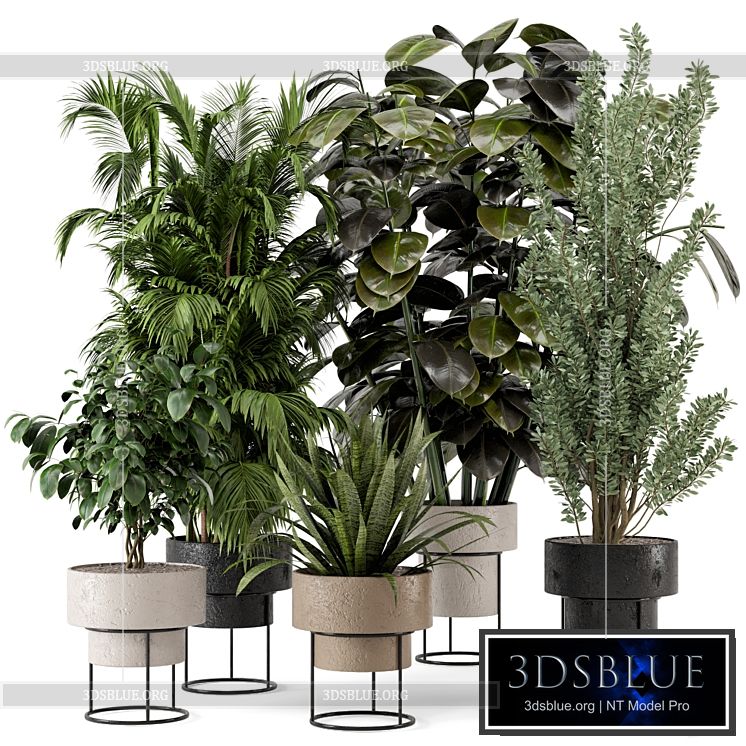 Indoor Plants in rusty Concrete Pot on Metal Shelf – Set 328 3DS Max - thumbnail 3