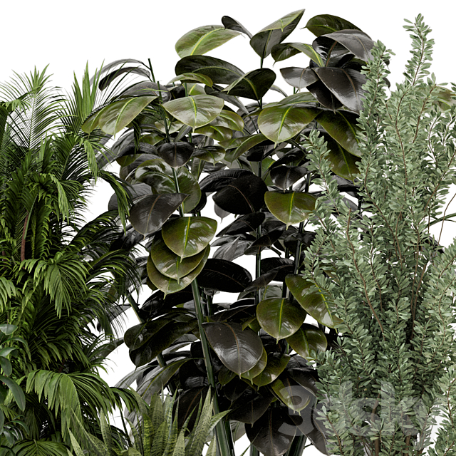 Indoor Plants in rusty Concrete Pot on Metal Shelf – Set 328 3DS Max Model - thumbnail 5