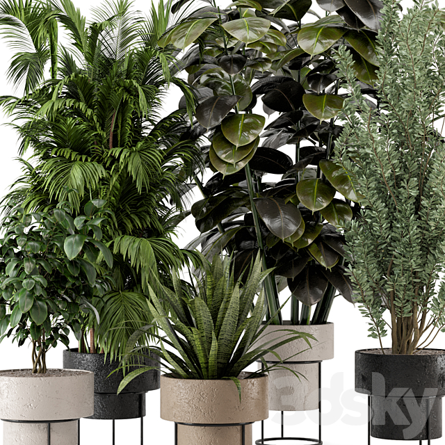 Indoor Plants in rusty Concrete Pot on Metal Shelf – Set 328 3DS Max Model - thumbnail 6