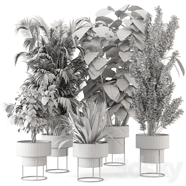 Indoor Plants in rusty Concrete Pot on Metal Shelf – Set 328 3DS Max Model - thumbnail 7