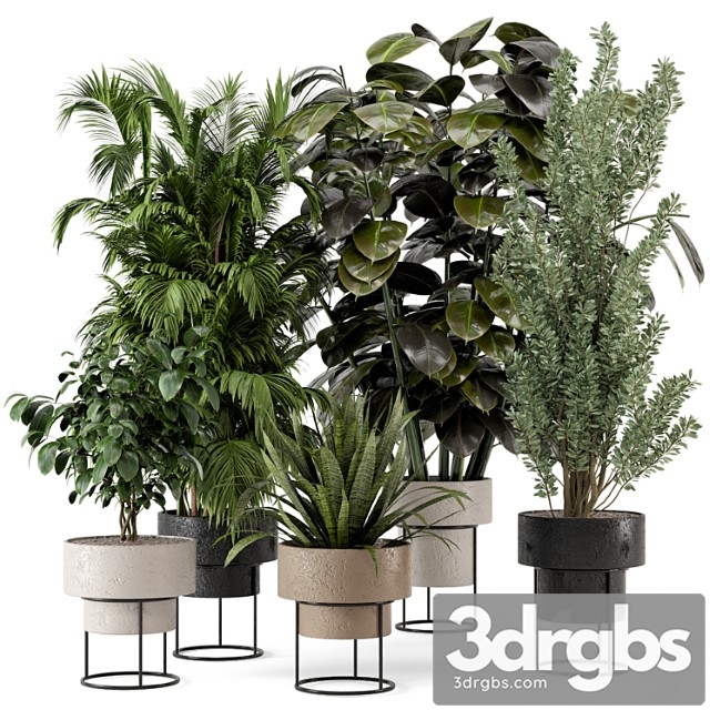 Indoor plants in rusty concrete pot on metal shelf – set 328 - thumbnail 1