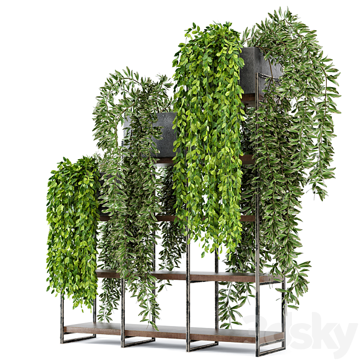 Indoor Plants in rusty Concrete Pot on Metal Shelf – Set 53 3DS Max - thumbnail 1