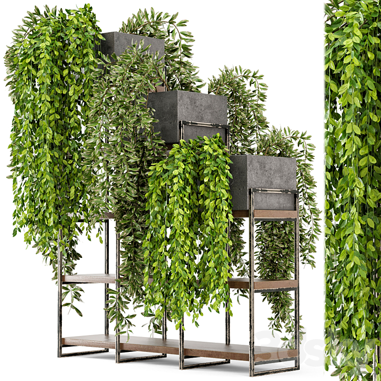 Indoor Plants in rusty Concrete Pot on Metal Shelf – Set 53 3DS Max - thumbnail 2