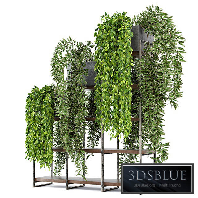 Indoor Plants in rusty Concrete Pot on Metal Shelf – Set 53 3DS Max - thumbnail 3