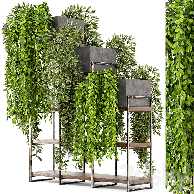 Indoor Plants in rusty Concrete Pot on Metal Shelf – Set 53 3DSMax File - thumbnail 2