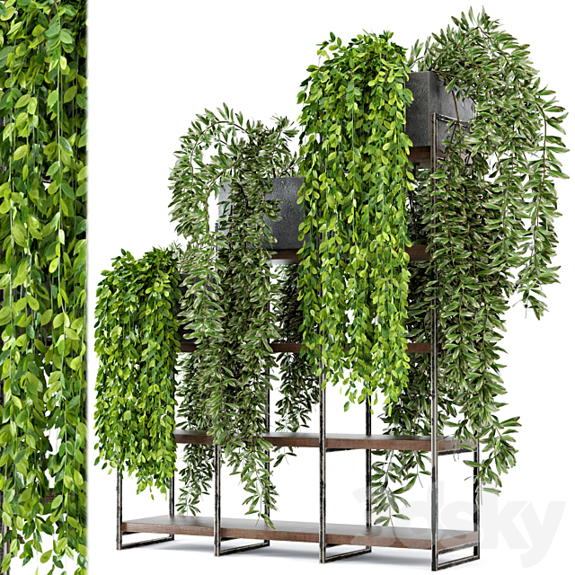 Indoor Plants in rusty Concrete Pot on Metal Shelf – Set 53 3DSMax File - thumbnail 3