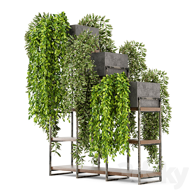 Indoor Plants in rusty Concrete Pot on Metal Shelf – Set 53 3DSMax File - thumbnail 4