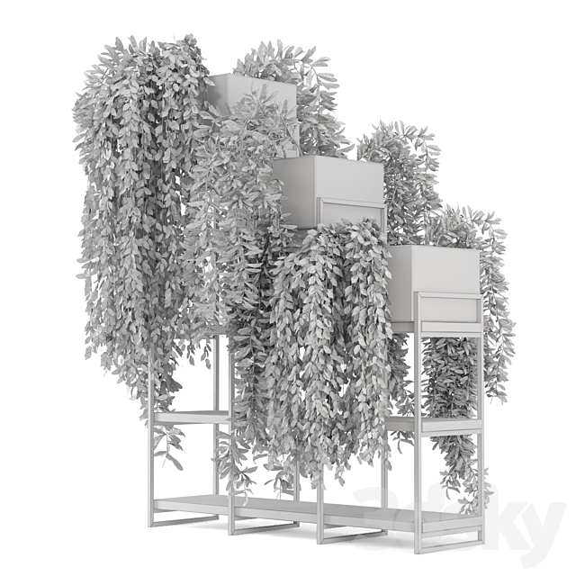 Indoor Plants in rusty Concrete Pot on Metal Shelf – Set 53 3DSMax File - thumbnail 5