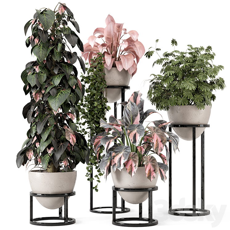 Indoor Plants in rusty Concrete Pot on Metal Shelf – Set 964 3DS Max - thumbnail 1