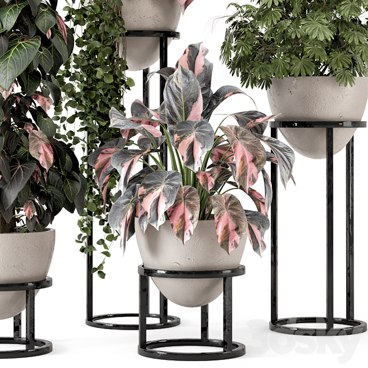 Indoor Plants in rusty Concrete Pot on Metal Shelf – Set 964 3DS Max - thumbnail 2