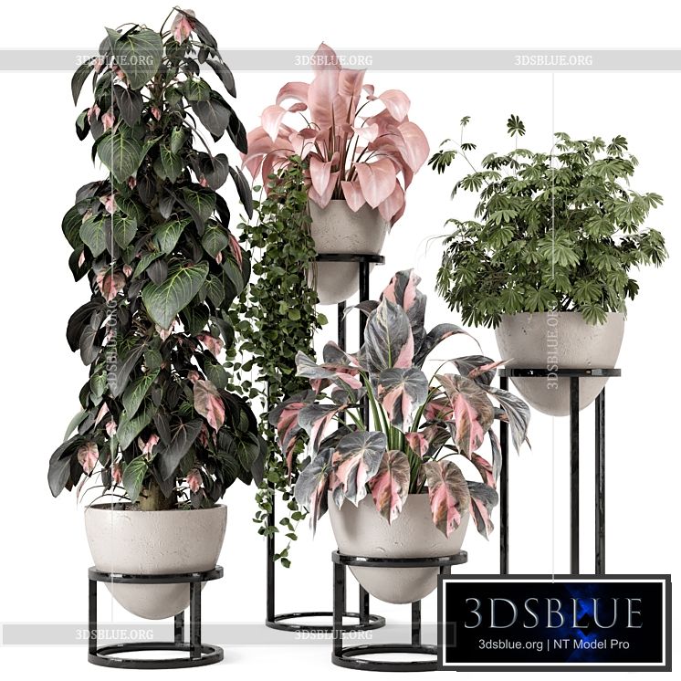 Indoor Plants in rusty Concrete Pot on Metal Shelf – Set 964 3DS Max - thumbnail 3