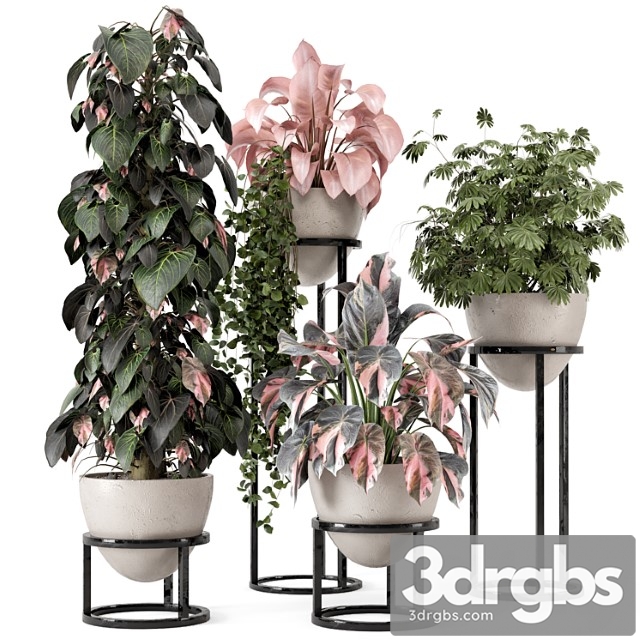 Indoor plants in rusty concrete pot on metal shelf – set 964 - thumbnail 1