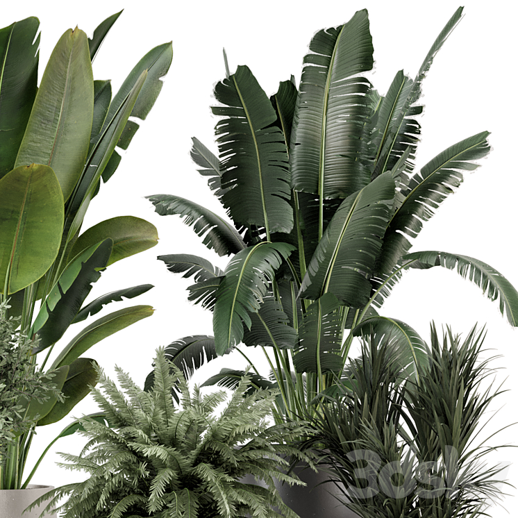 Indoor Plants in rusty Concrete Pot – Set 1167 3DS Max - thumbnail 2