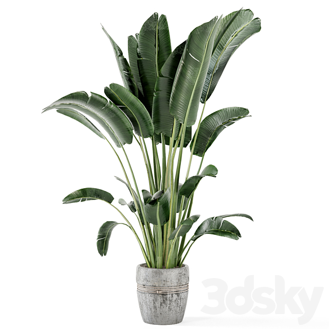 Indoor Plants in rusty Concrete Pot – Set 124 3DS Max Model - thumbnail 2