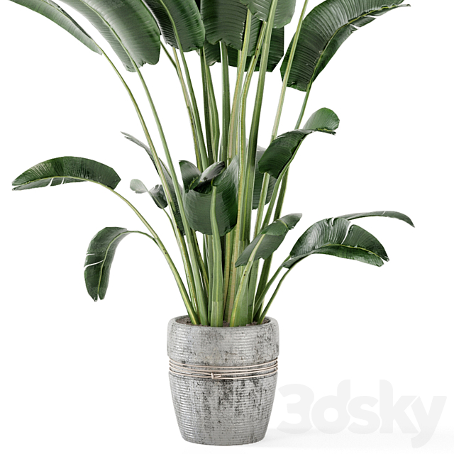 Indoor Plants in rusty Concrete Pot – Set 124 3DS Max Model - thumbnail 3