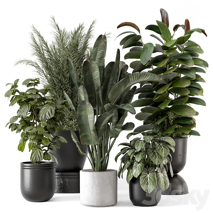 Indoor Plants in rusty Concrete Pot – Set 1265 3DS Max - thumbnail 1