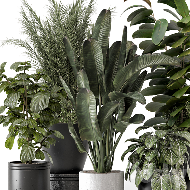 Indoor Plants in rusty Concrete Pot – Set 1265 3DS Max - thumbnail 2