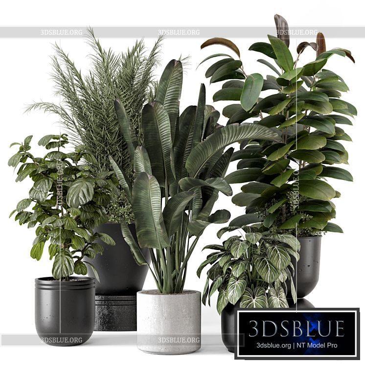 Indoor Plants in rusty Concrete Pot – Set 1265 3DS Max - thumbnail 3