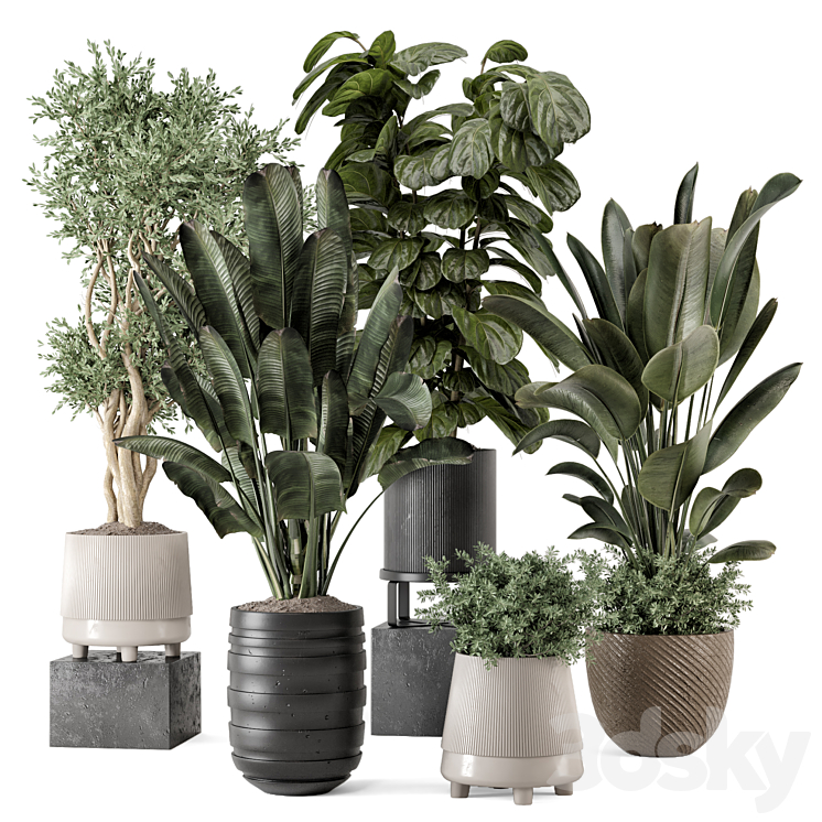 Indoor Plants in rusty Concrete Pot – Set 1291 3DS Max - thumbnail 1