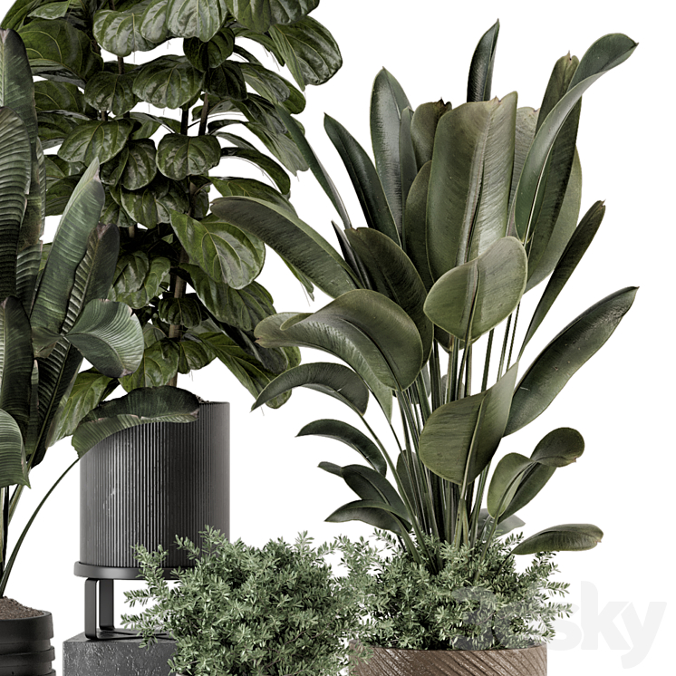 Indoor Plants in rusty Concrete Pot – Set 1291 3DS Max - thumbnail 2