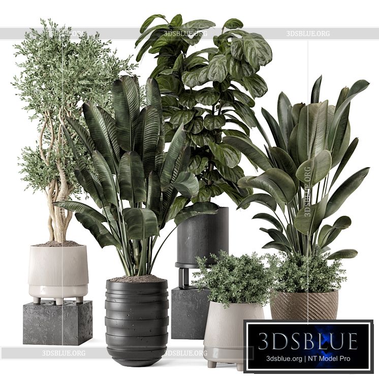 Indoor Plants in rusty Concrete Pot – Set 1291 3DS Max - thumbnail 3