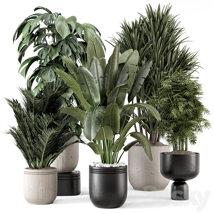 Indoor Plants in rusty Concrete Pot – Set 1331 3DS Max - thumbnail 1