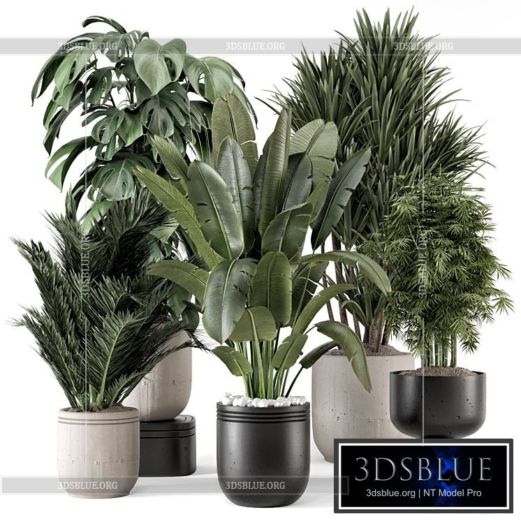 Indoor Plants in rusty Concrete Pot – Set 1331 3DS Max - thumbnail 3